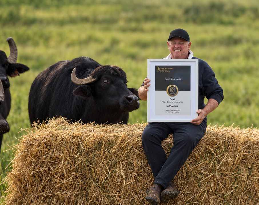 PRESS RELEASE: Quindanning Buffalo Named Finalist in the 2026 Australian Grand Dairy Awards