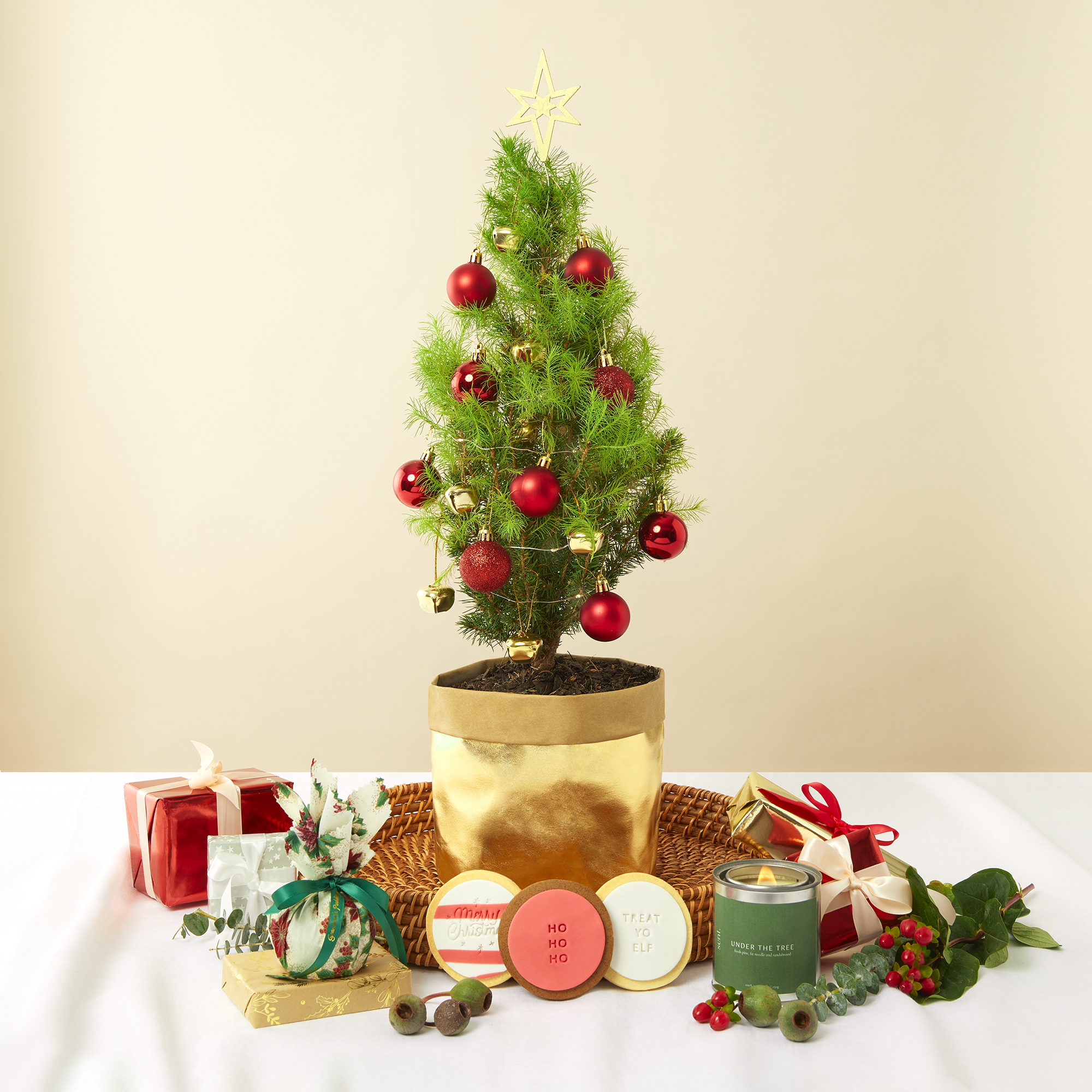 PRESS RELEASE Discover the ecofriendly alternative to plastic