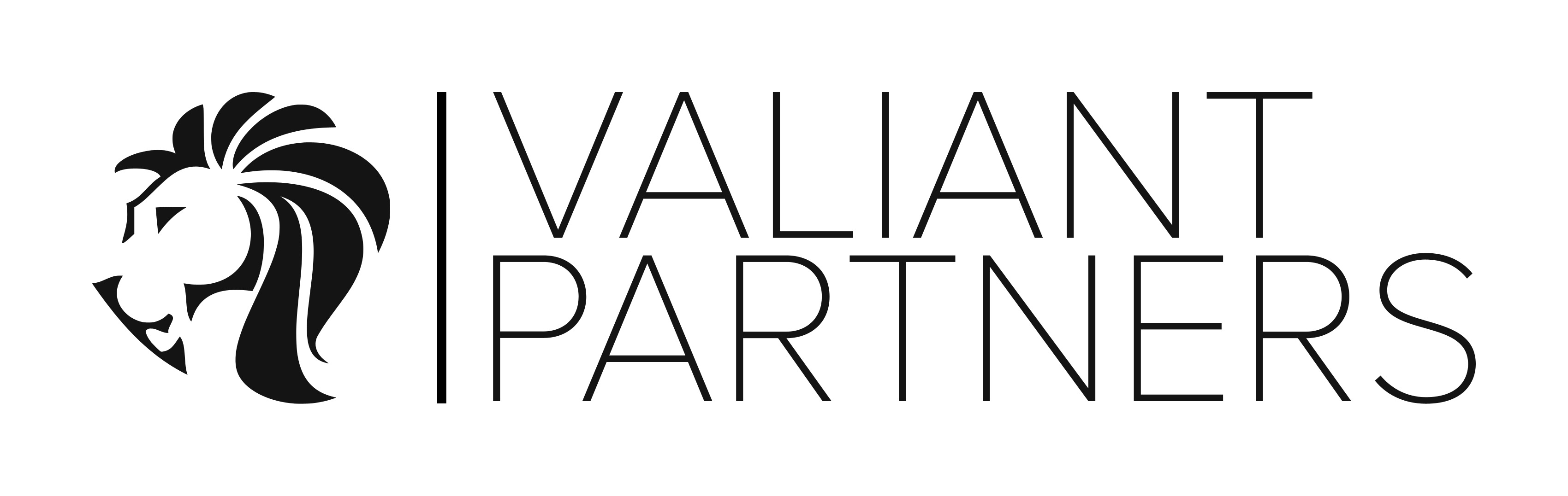 Valiant Partners